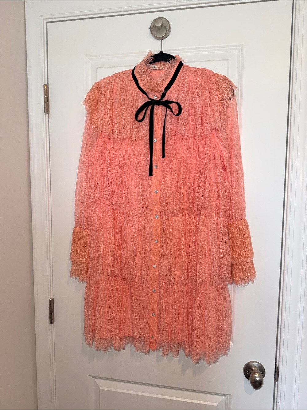 Alice + Olivia Sheer Tiered Lace Mini Dress in Blush Pink with Black Velvet Bow - Picture 7 of 13